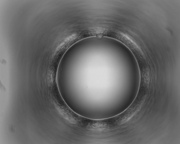 X0000091090546200708061639