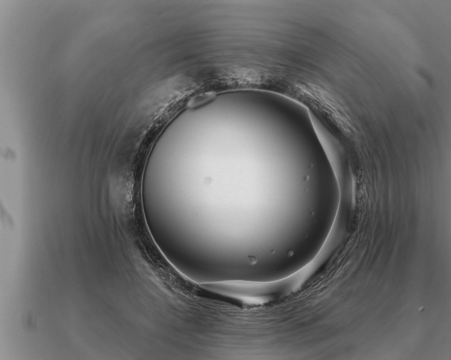 X0000091090548200708061639