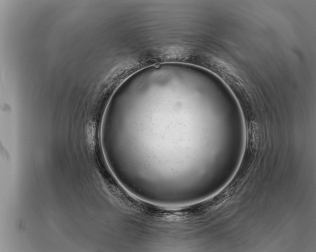 X0000091090550200708061639