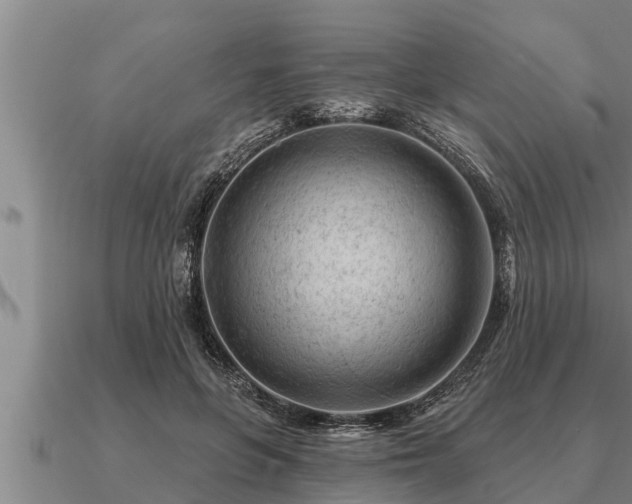 X0000091090551200708061639