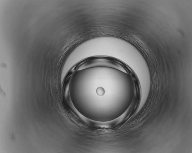 X0000091090552200708061639