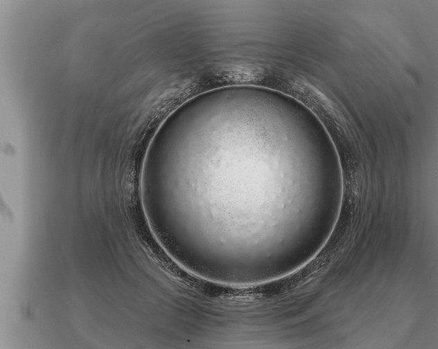 X0000091090553200708061639