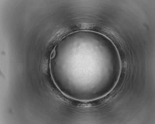 X0000091090554200708061639