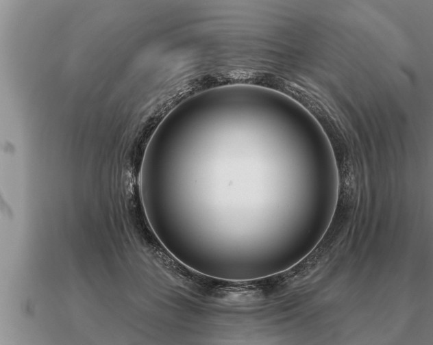 X0000091090555200708061639