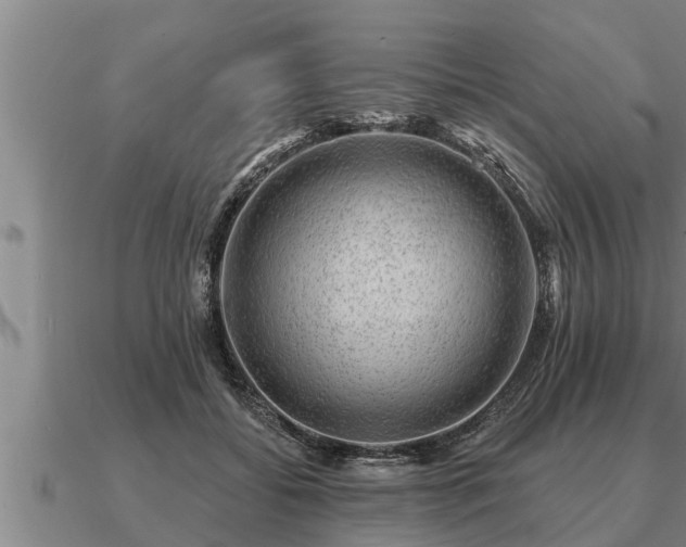 X0000091090556200708061639
