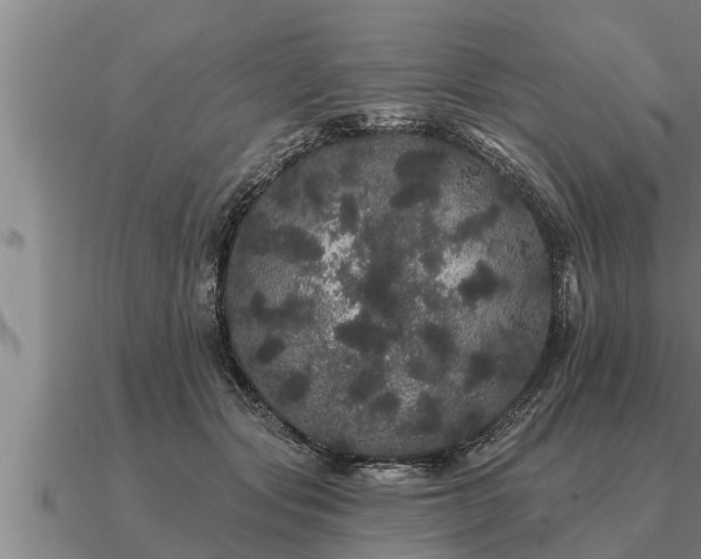 X0000091090557200708061639