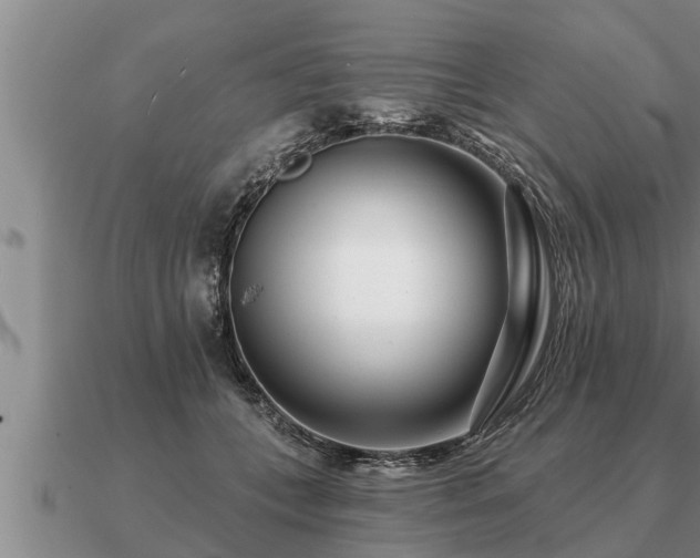 X0000091090559200708061639