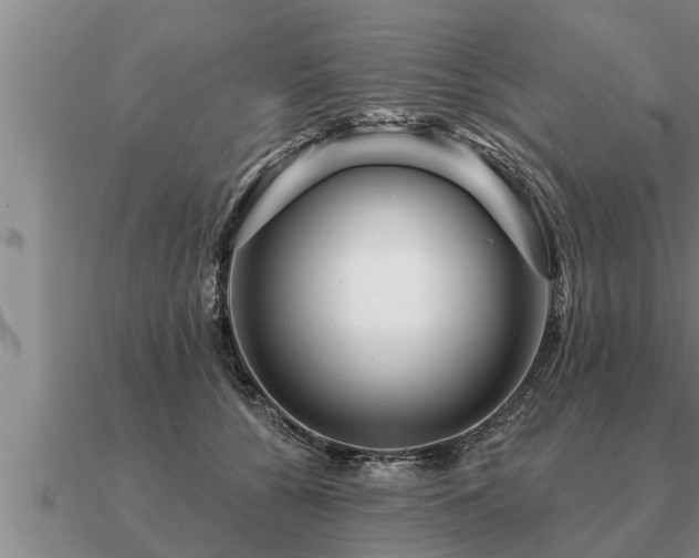 X0000091090560200708061639