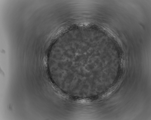 X0000091090561200708061639