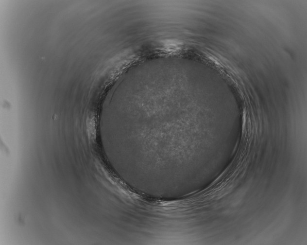 X0000091090562200708061639