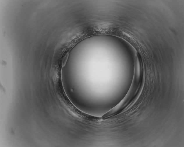 X0000091090566200708061639