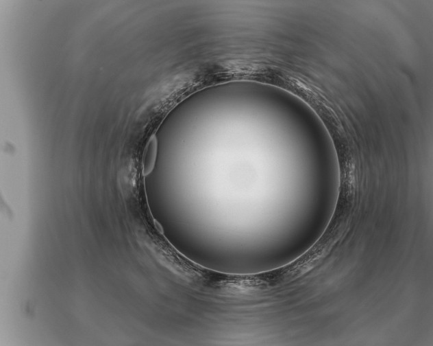 X0000091090567200708061639