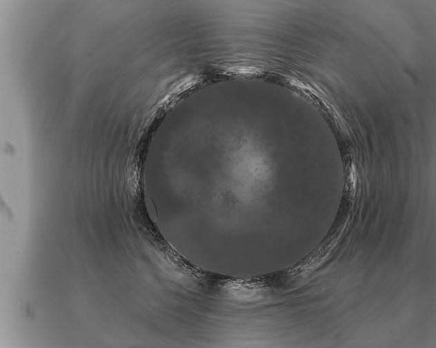 X0000091090568200708061639