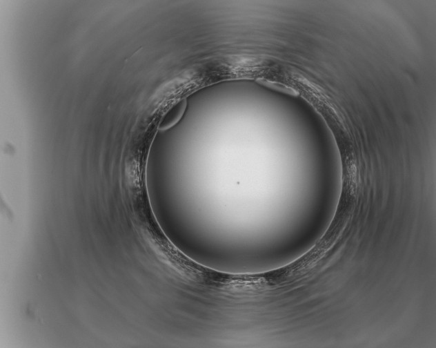 X0000091090571200708061639