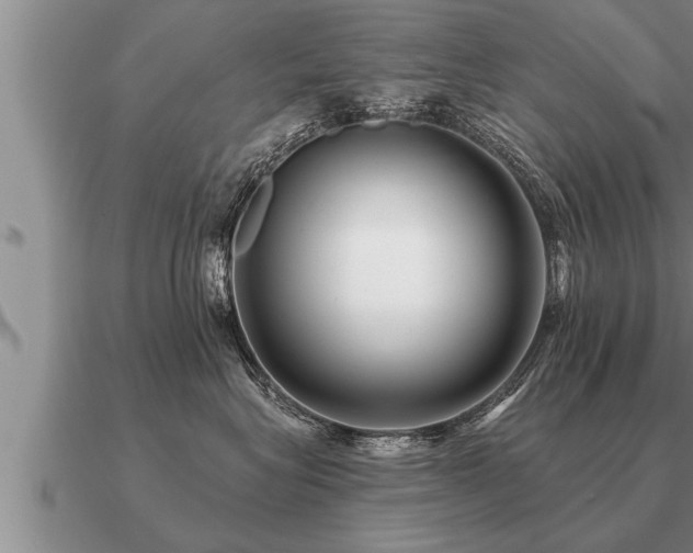 X0000091090575200708061639