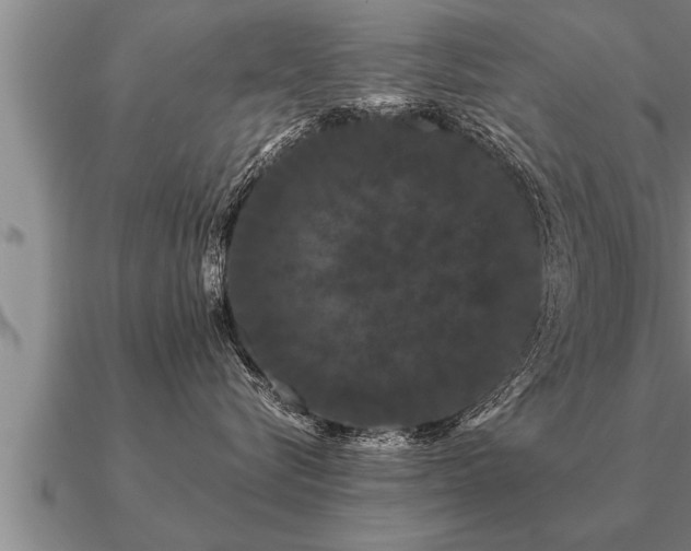 X0000091090576200708061639