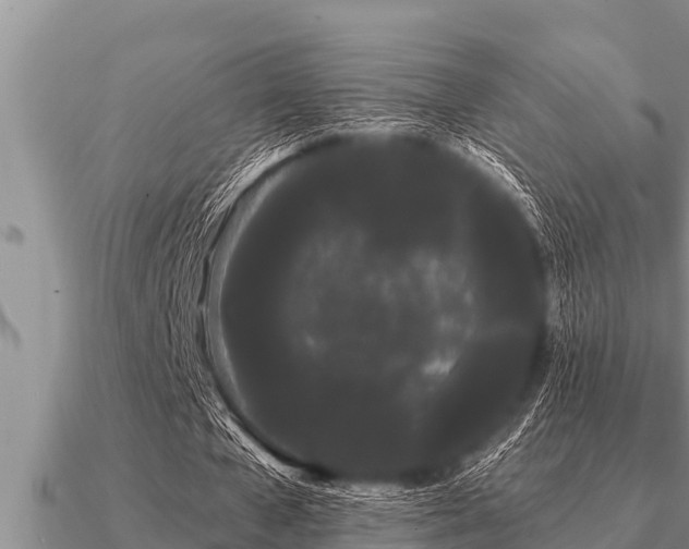 X0000091090577200708061639