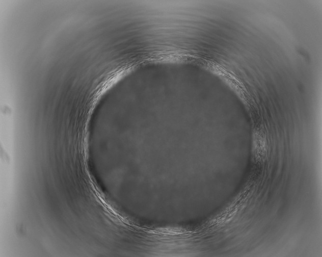 X0000091090578200708061639