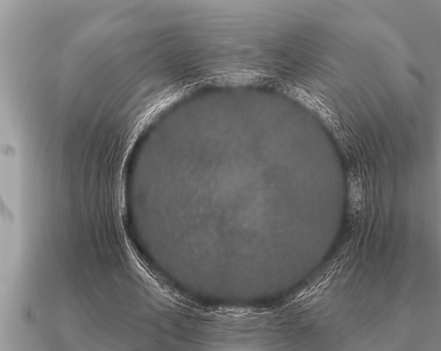 X0000091090582200708061639
