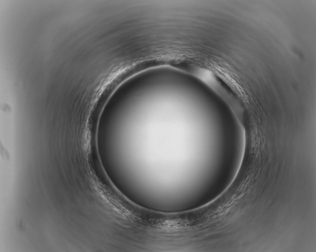 X0000091090584200708061639