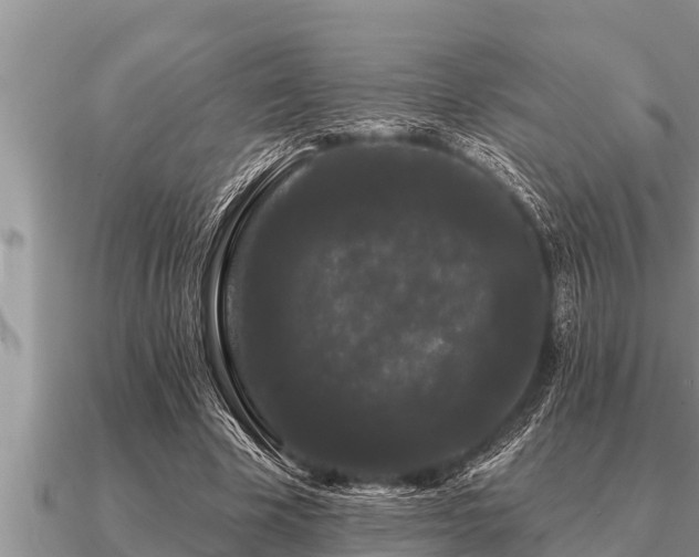 X0000091090585200708061639