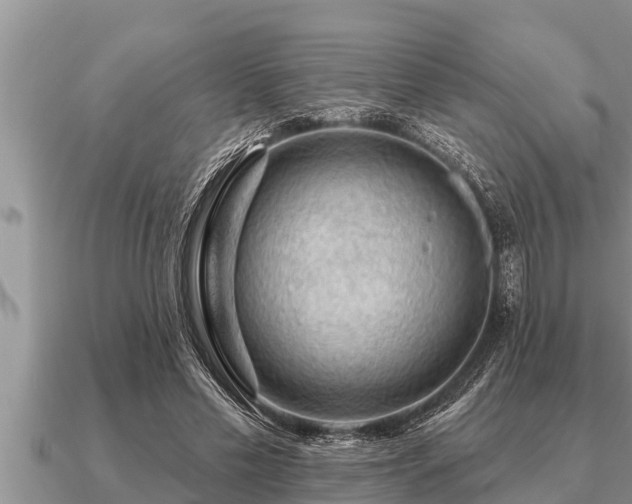X0000091090589200708061639