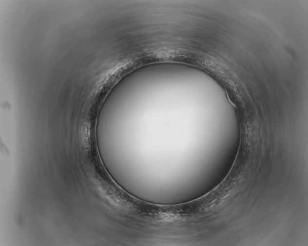 X0000091090592200708061638
