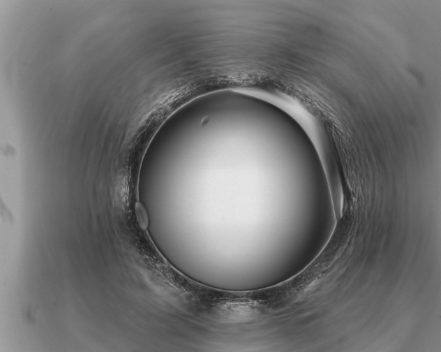 X0000091090595200708061638