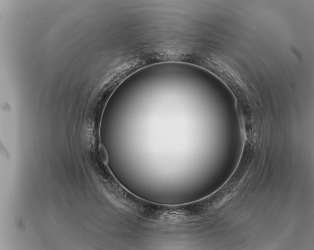 X0000091090599200708061638