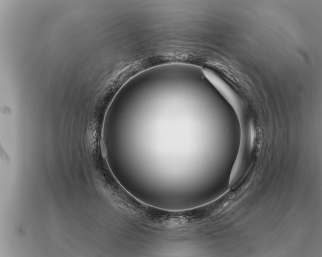 X0000091090600200708061638