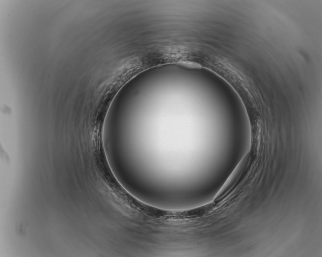 X0000091090601200708061638
