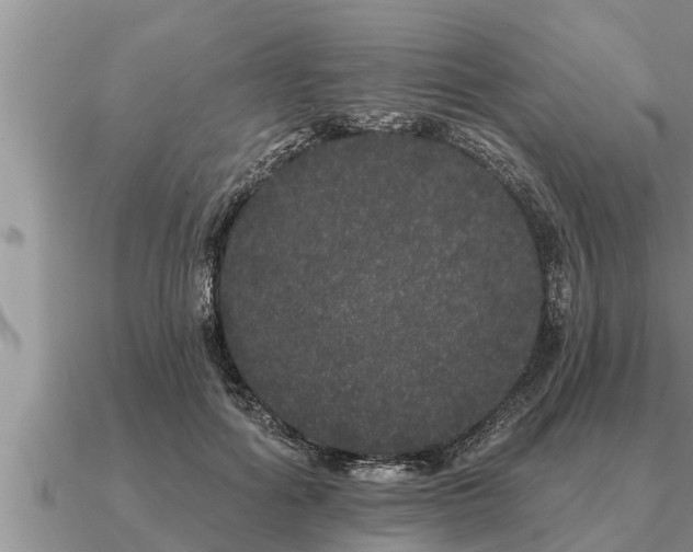 X0000091090602200708061638