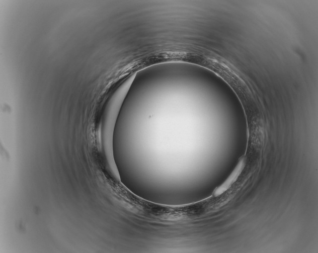 X0000091090604200708061638