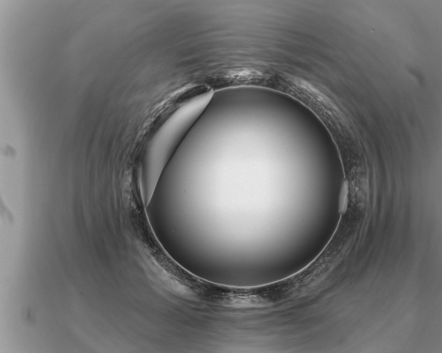 X0000091090605200708061638