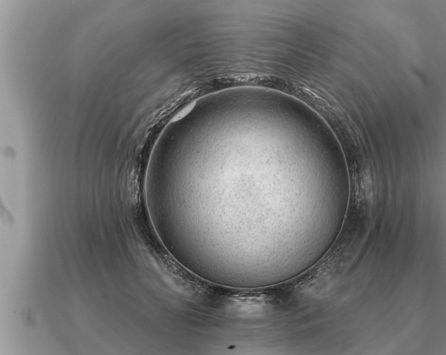 X0000091090606200708061638