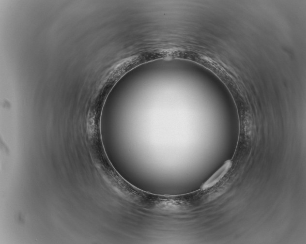 X0000091090611200708061638