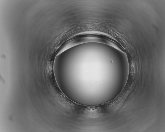 X0000091090613200708061638