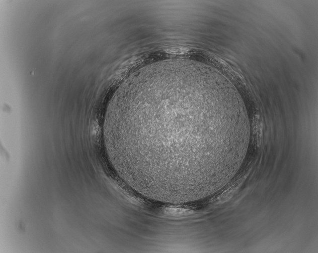 X0000091090614200708061638