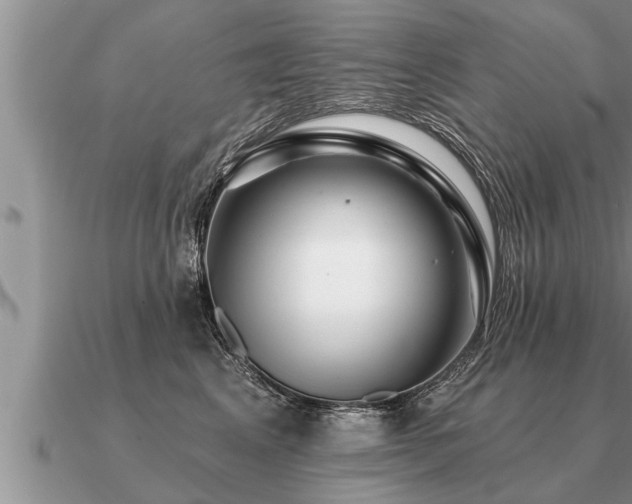 X0000091090617200708061638