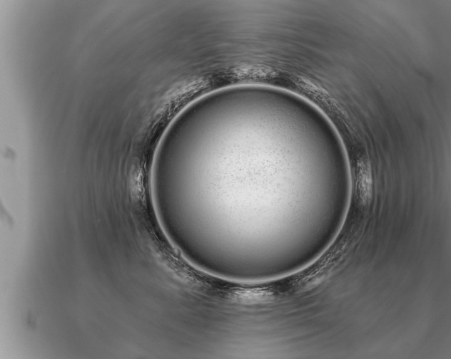 X0000091090619200708061638