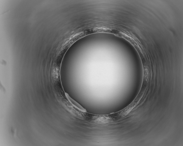 X0000091090621200708061638