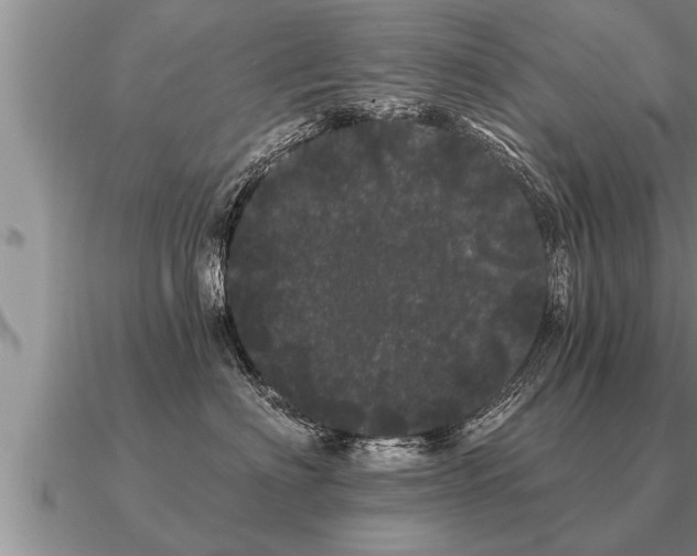 X0000091090622200708061638