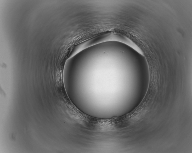 X0000091090624200708061638