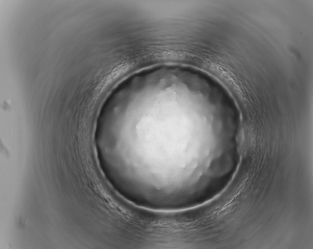 X0000091090625200708061637