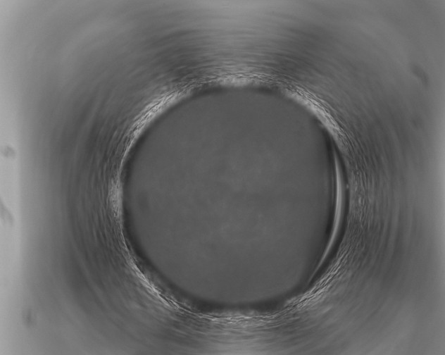 X0000091090626200708061637