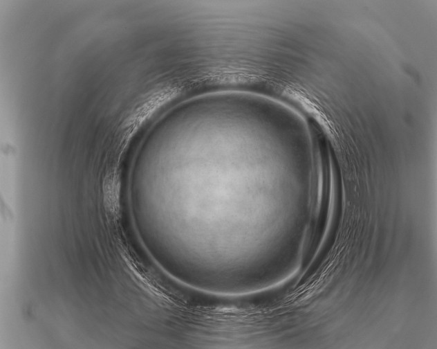 X0000091090627200708061637