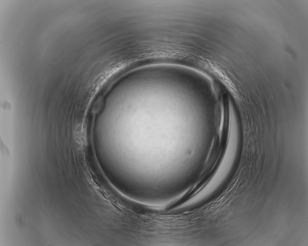 X0000091090628200708061637