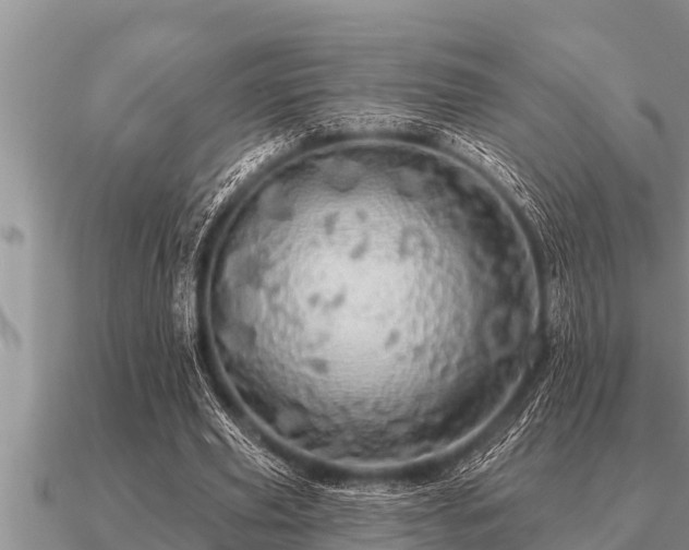 X0000091090629200708061637