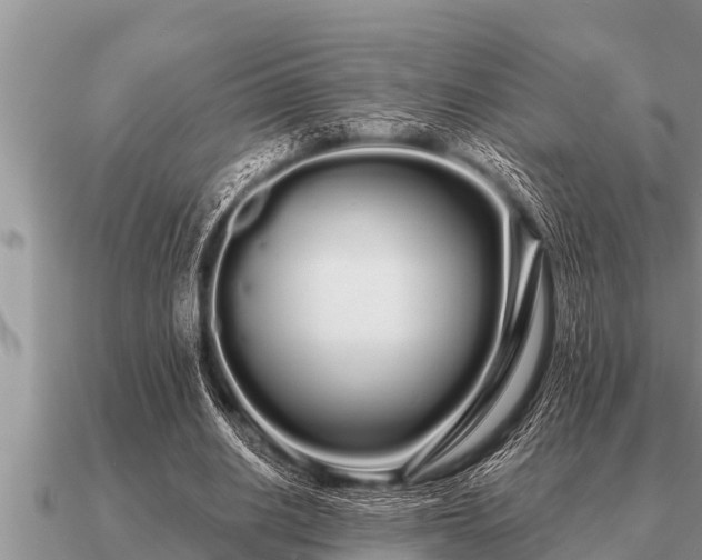 X0000091090630200708061638