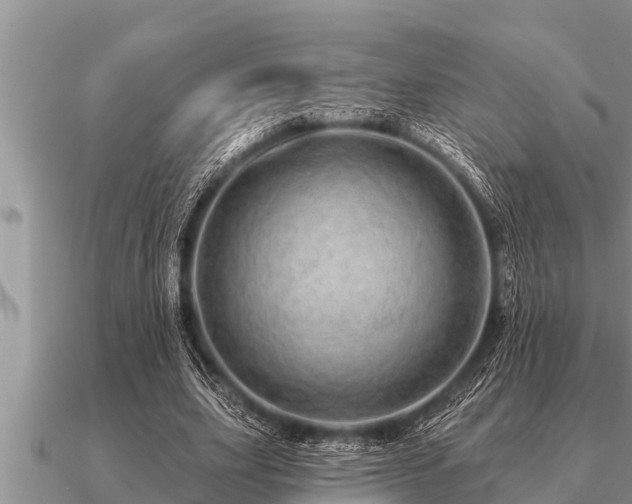 X0000091090631200708061638